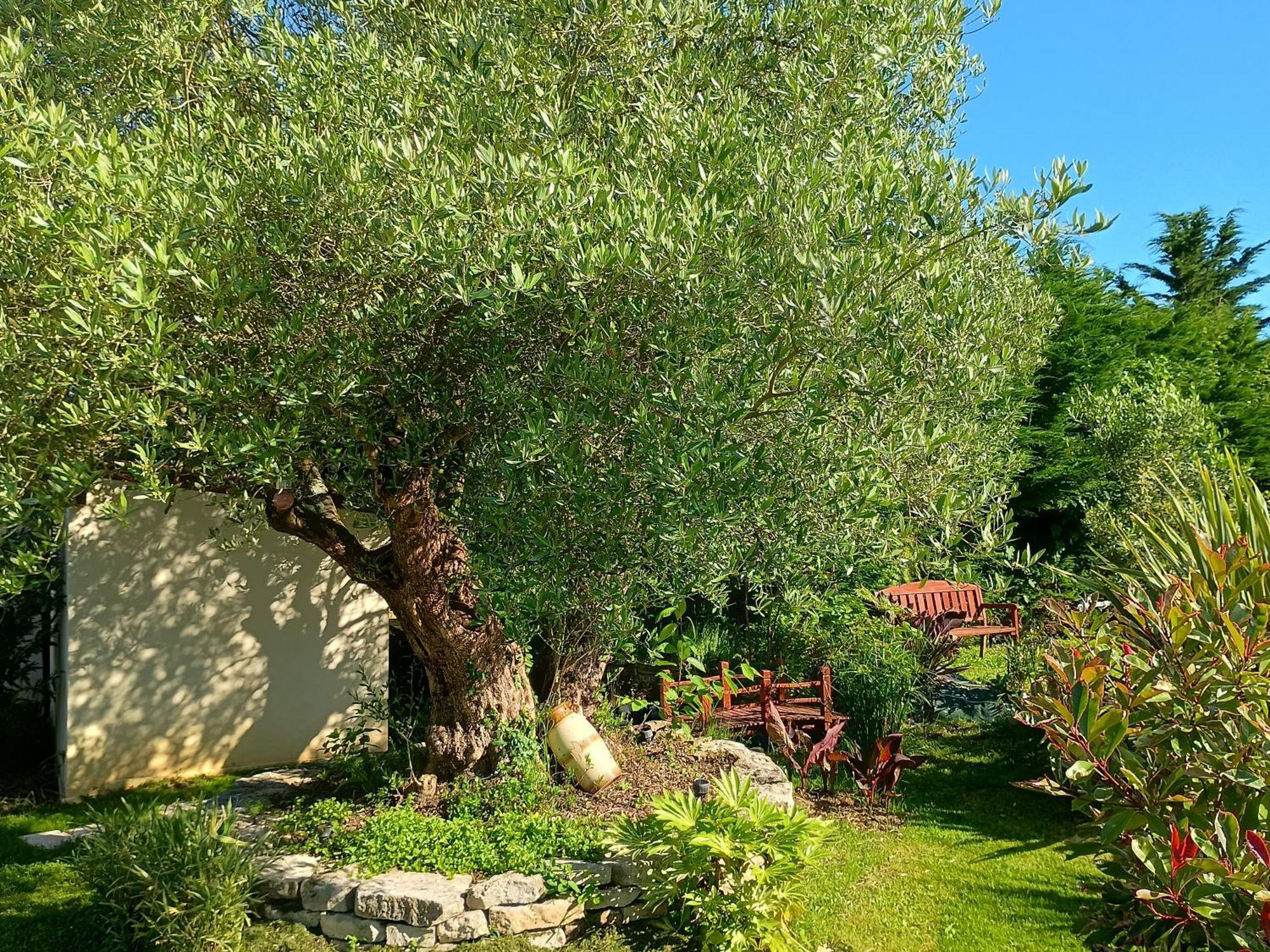 Gite Les Rosiers Au Domaine Des Sauvineries Saint-Germain-de-Princay Buitenkant foto